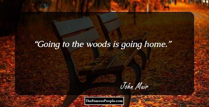 Going to the woods is going home.