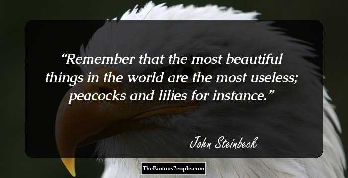 Remember that the most beautiful things in the world are the most useless; peacocks and lilies for instance.