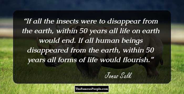If all the insects were to disappear from the earth, within 50 years all life on earth would end. If all human beings disappeared from the earth, within 50 years all forms of life would flourish.