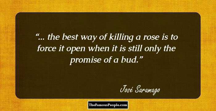 ... the best way of killing a rose is to force it open when it is still only the promise of a bud.
