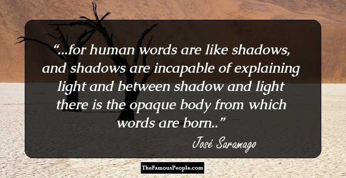 ...for human words are like shadows, and shadows are incapable of explaining light and between shadow and light there is the opaque body from which words are born..