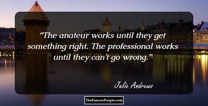 The anateur works until they get something right. The professional works until they can't go wrong.