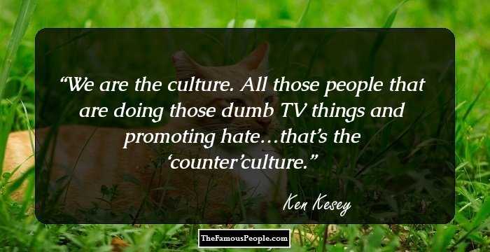 We are the culture. All those people that are doing those dumb TV things and promoting hate…that’s the ‘counter’culture.