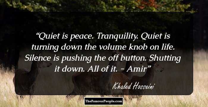 Quiet is peace. Tranquility. Quiet is turning down the volume knob on life. Silence is pushing the off button. Shutting it down. All of it. - Amir