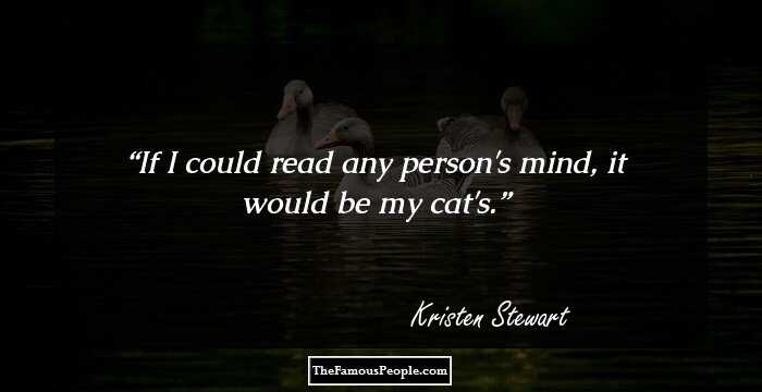 If I could read any person's mind, it would be my cat's.