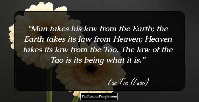 Man takes his law from the Earth; the Earth takes its law from Heaven; Heaven takes its law from the Tao. The law of the Tao is its being what it is.