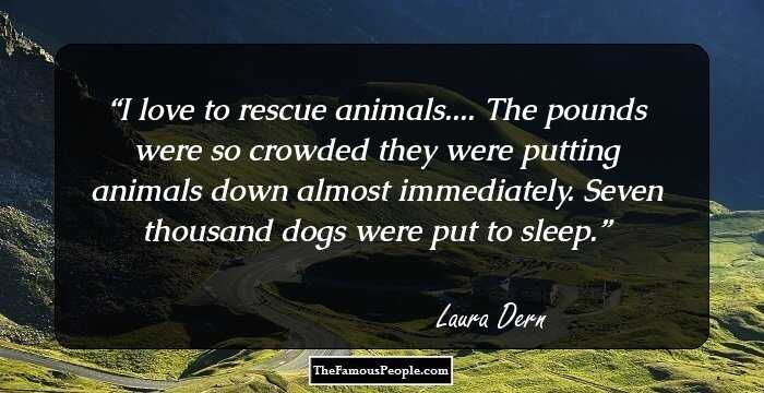 I love to rescue animals.... The pounds were so crowded they were putting animals down almost immediately. Seven thousand dogs were put to sleep.