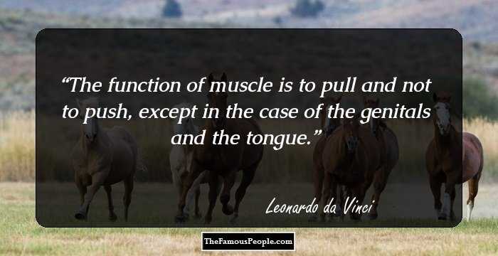 The function of muscle is to pull and not to push, except in the case of the genitals and the tongue.