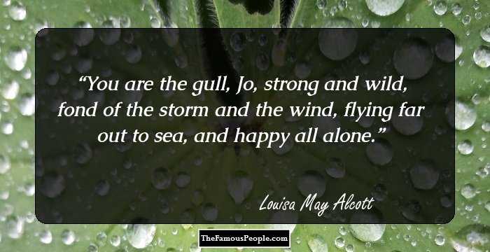 You are the gull, Jo, strong and wild, fond of the storm and the wind, flying far out to sea, and happy all alone.