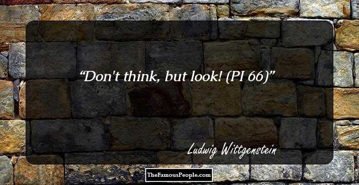 Don't think, but look! (PI 66)