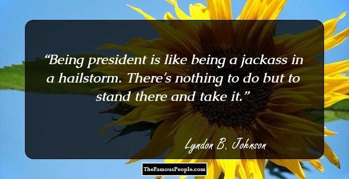 Being president is like being a jackass in a hailstorm. There's nothing to do but to stand there and take it.