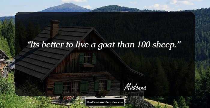 Its better to live a goat than 100 sheep.