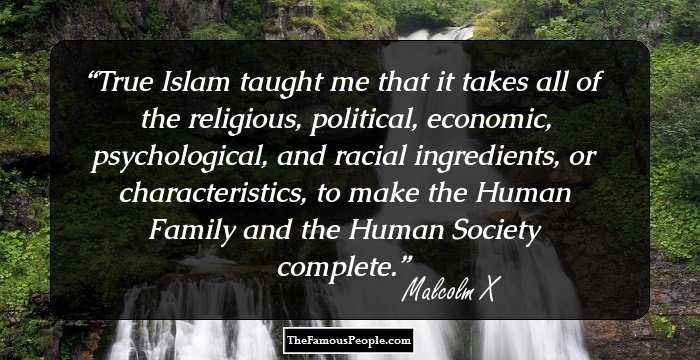 True Islam taught me that it takes all of the religious, political, economic, psychological, and racial ingredients, or characteristics, to make the Human Family and the Human Society complete.