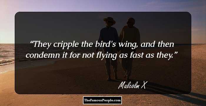 They cripple the bird's wing, and then condemn it for not flying as fast as they.