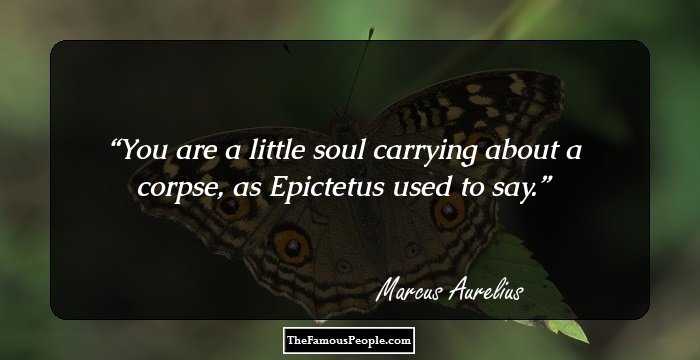 You are a little soul carrying about a corpse, as Epictetus used to say.