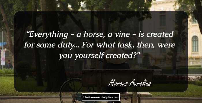 Everything - a horse, a vine - is created for some duty... For what task, then, were you yourself created?