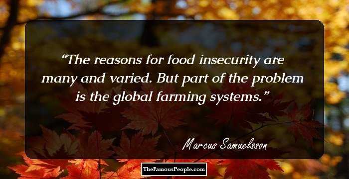 The reasons for food insecurity are many and varied. But part of the problem is the global farming systems.