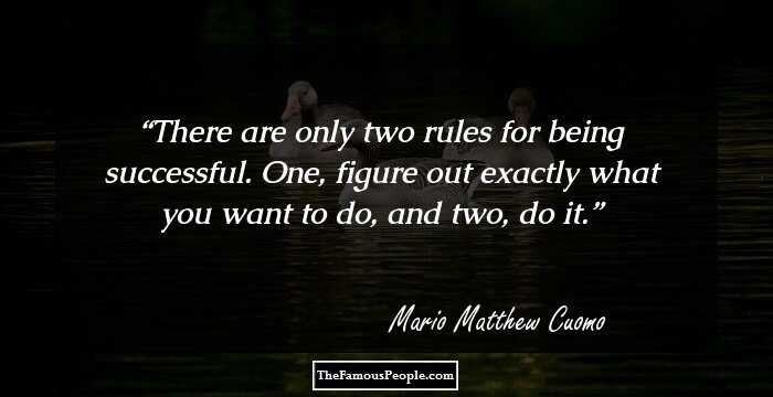 There are only two rules for being successful. One, figure out exactly what you want to do, and two, do it.