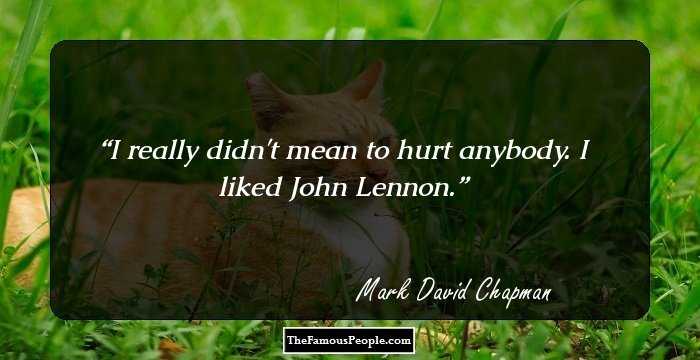 I really didn't mean to hurt anybody. I liked John Lennon.