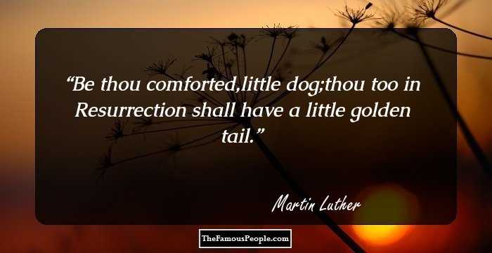 Be thou comforted,little dog;thou too in Resurrection shall have a little golden tail.