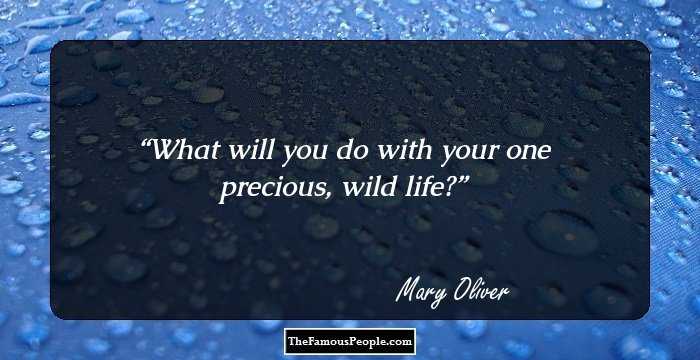 What will you do with your one precious, wild life?