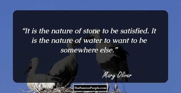 It is the nature of stone to be satisfied. It is the nature of water to want to be somewhere else.
