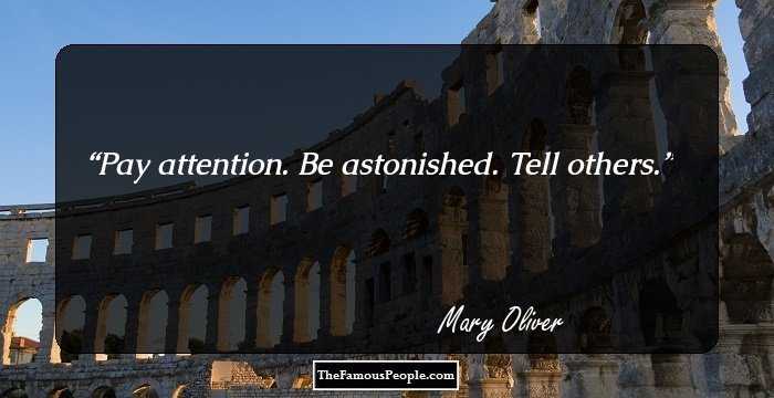 Pay attention. Be astonished. Tell others.