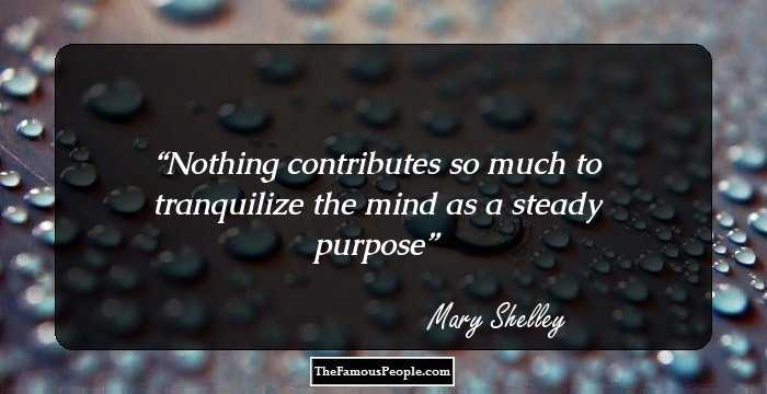 Nothing contributes so much to tranquilize the mind as a steady purpose