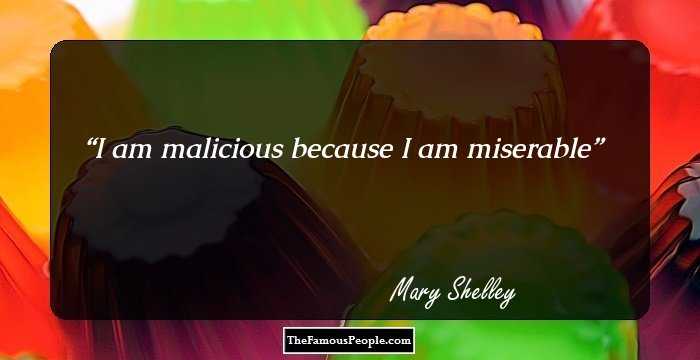 I am malicious because I am miserable