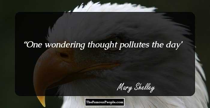 One wondering thought pollutes the day