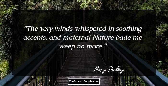 The very winds whispered in soothing accents, and maternal Nature bade me weep no more.