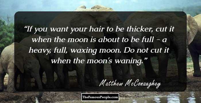 If you want your hair to be thicker, cut it when the moon is about to be full - a heavy, full, waxing moon. Do not cut it when the moon's waning.