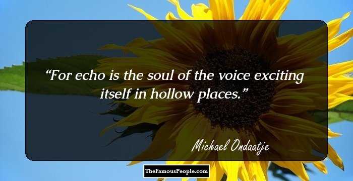 For echo is the soul of the voice exciting itself in hollow places.