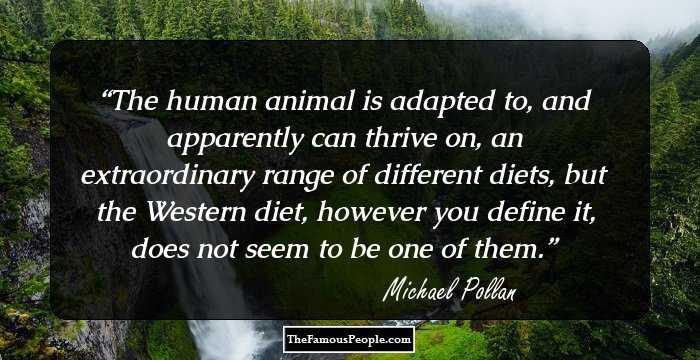 The human animal is adapted to, and apparently can thrive on, an extraordinary range of different diets, but the Western diet, however you define it, does not seem to be one of them.