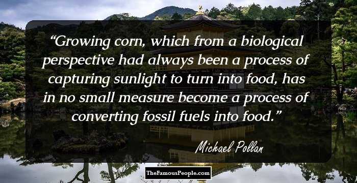 Growing corn, which from a biological perspective had always been a process of capturing sunlight to turn into food, has in no small measure become a process of converting fossil fuels into food.