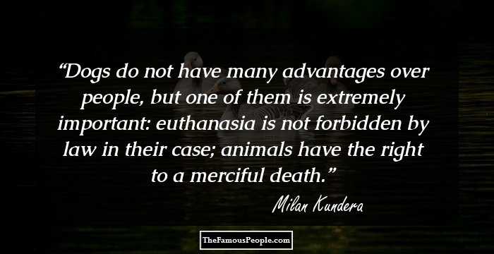 Dogs do not have many advantages over people, but one of them is extremely important: euthanasia is not forbidden by law in their case; animals have the right to a merciful death.