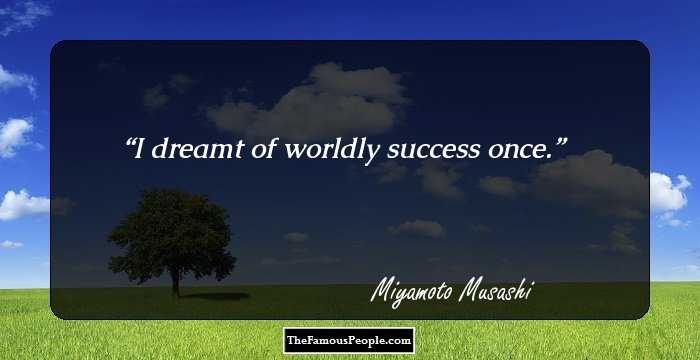 I dreamt of worldly success once.