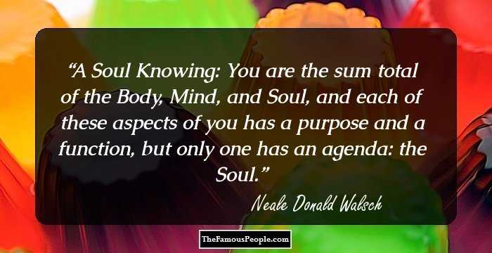 A Soul Knowing: You are the sum total of the Body, Mind, and Soul, and each of these aspects of you has a purpose and a function, but only one has an agenda: the Soul.
