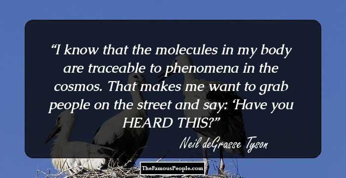 I know that the molecules in my body are traceable to phenomena in the cosmos. That makes me want to grab people on the street and say: ‘Have you HEARD THIS?