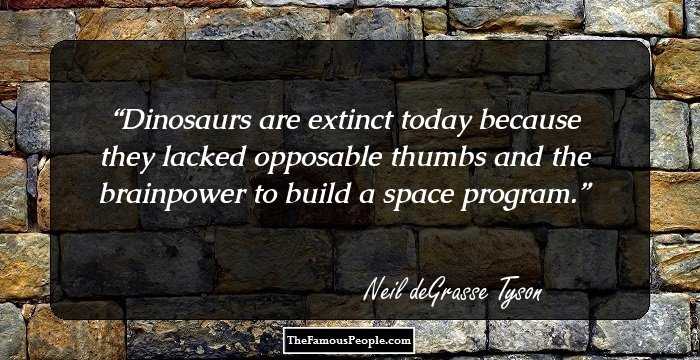 Dinosaurs are extinct today because they lacked opposable thumbs and the brainpower to build a space program.