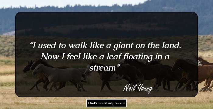 I used to walk like a giant on the land. Now I feel like a leaf floating in a stream