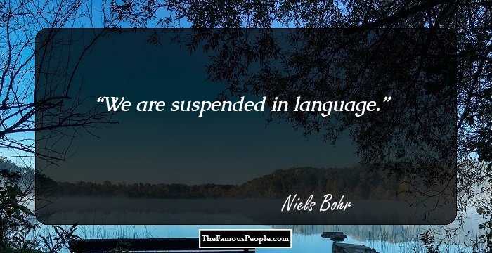 We are suspended in language.