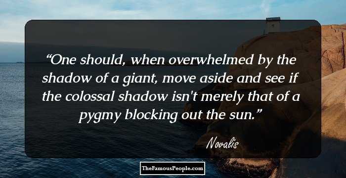 One should, when overwhelmed by the shadow of a giant, move aside and see if the colossal shadow isn't merely that of a pygmy blocking out the sun.