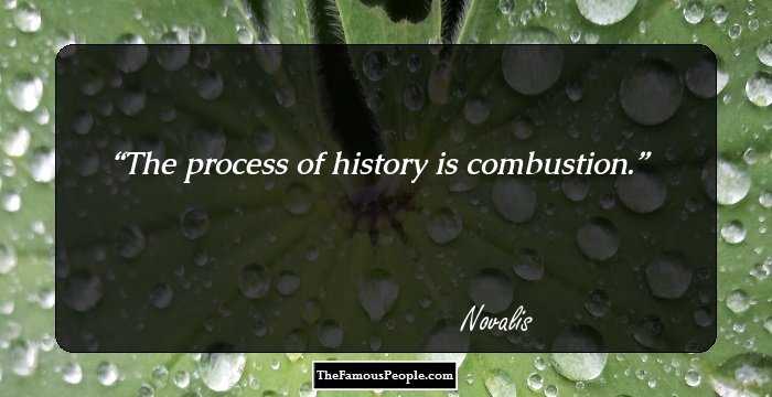 The process of history is combustion.