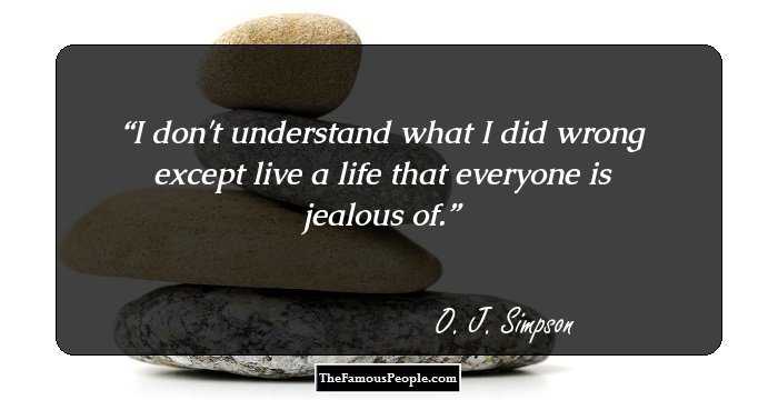 I don't understand what I did wrong except live a life that everyone is jealous of.