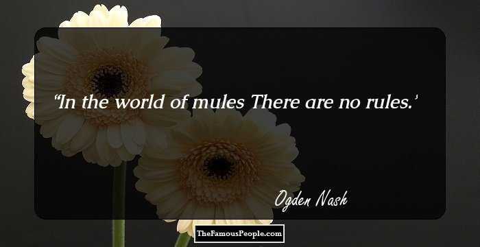 In the world of mules
There are no rules.