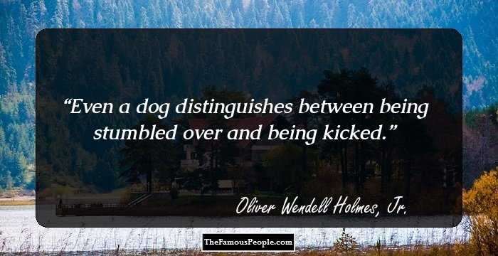 Even a dog distinguishes between being stumbled over and being kicked.