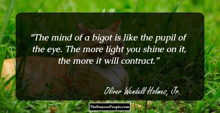 The mind of a bigot is like the pupil of the eye. The more light you shine on it, the more it will contract.