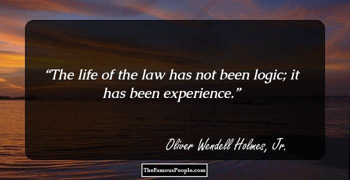 The life of the law has not been logic; it has been experience.