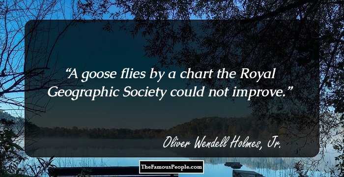 A goose flies by a chart the Royal Geographic Society could not improve.
